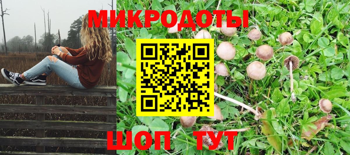 Пушкино  Псилоцибиновые грибы Psilocybine cubensis  Вход с VPN 