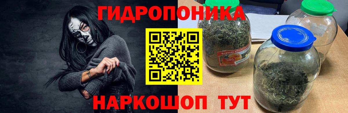 Бошки марихуана LSD WEED Пушкино